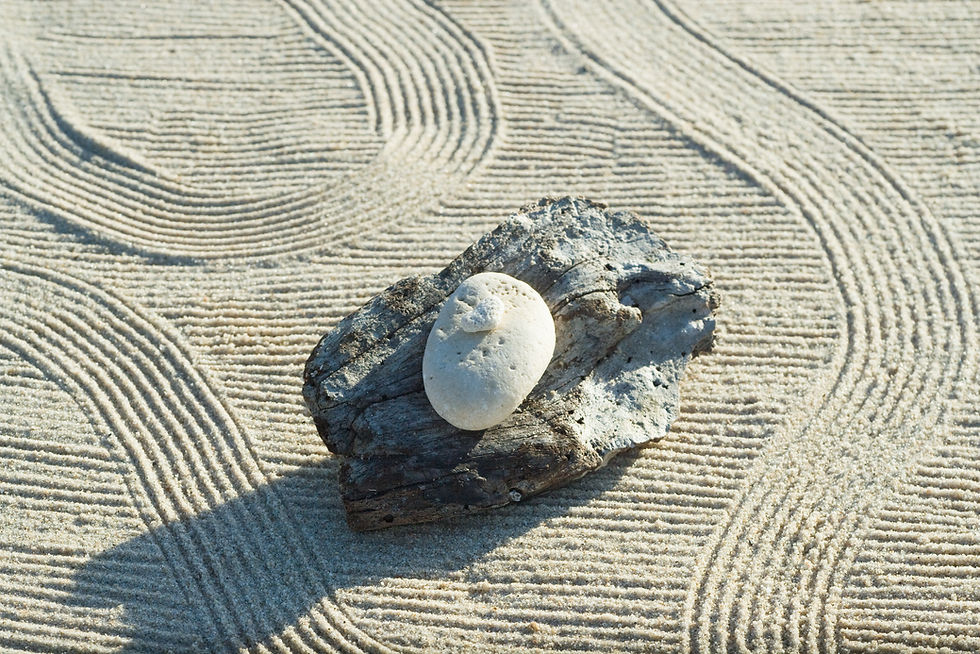 Miniaturbild: ZEN GARDEN No. 25