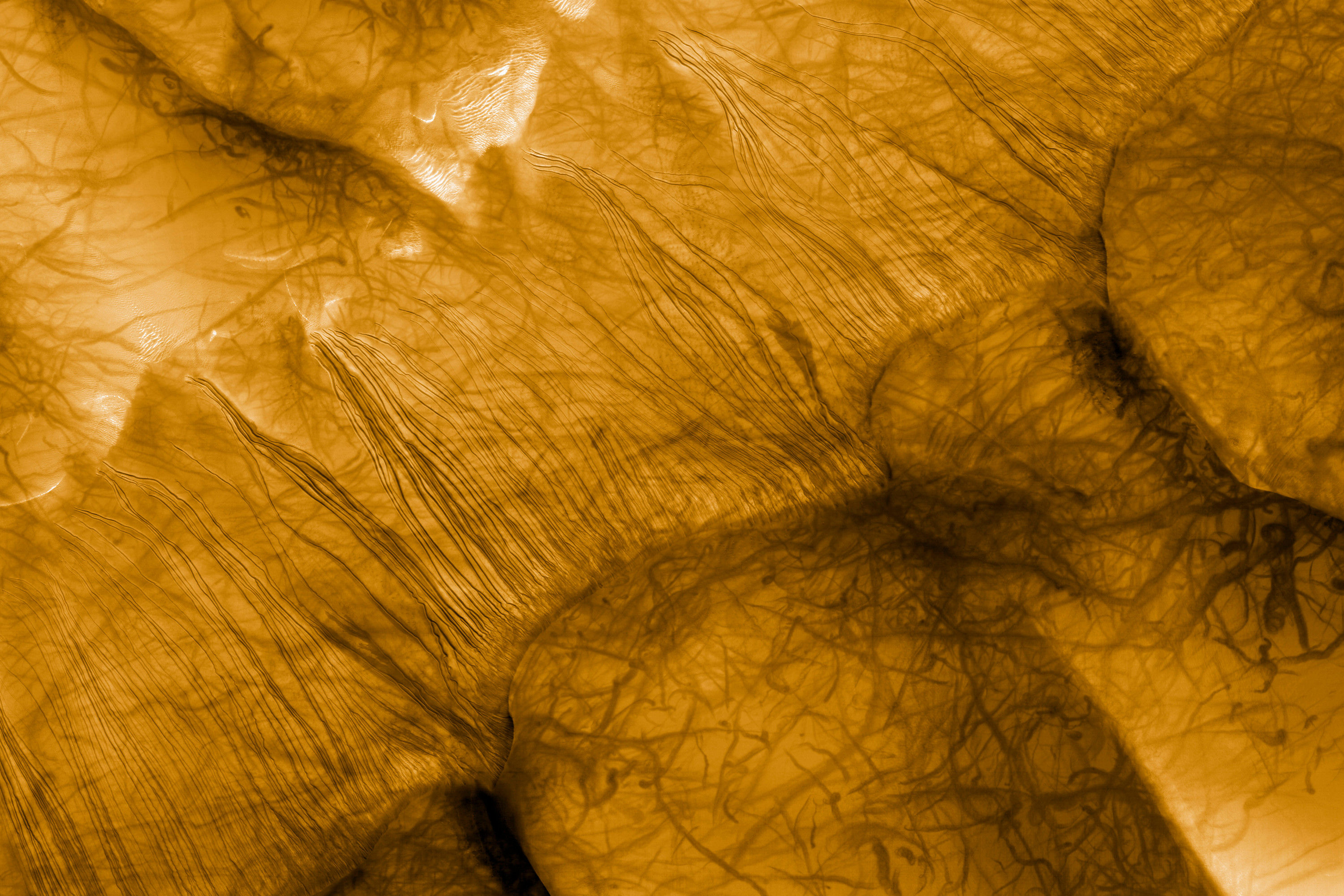 Mars No. 42-22377861