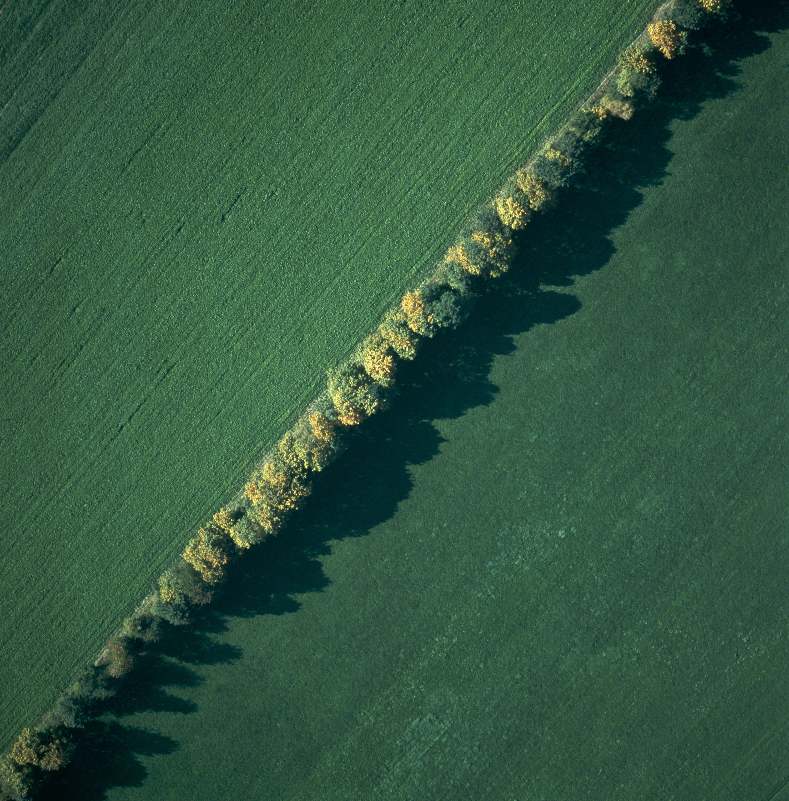 fields from the air No. 23
