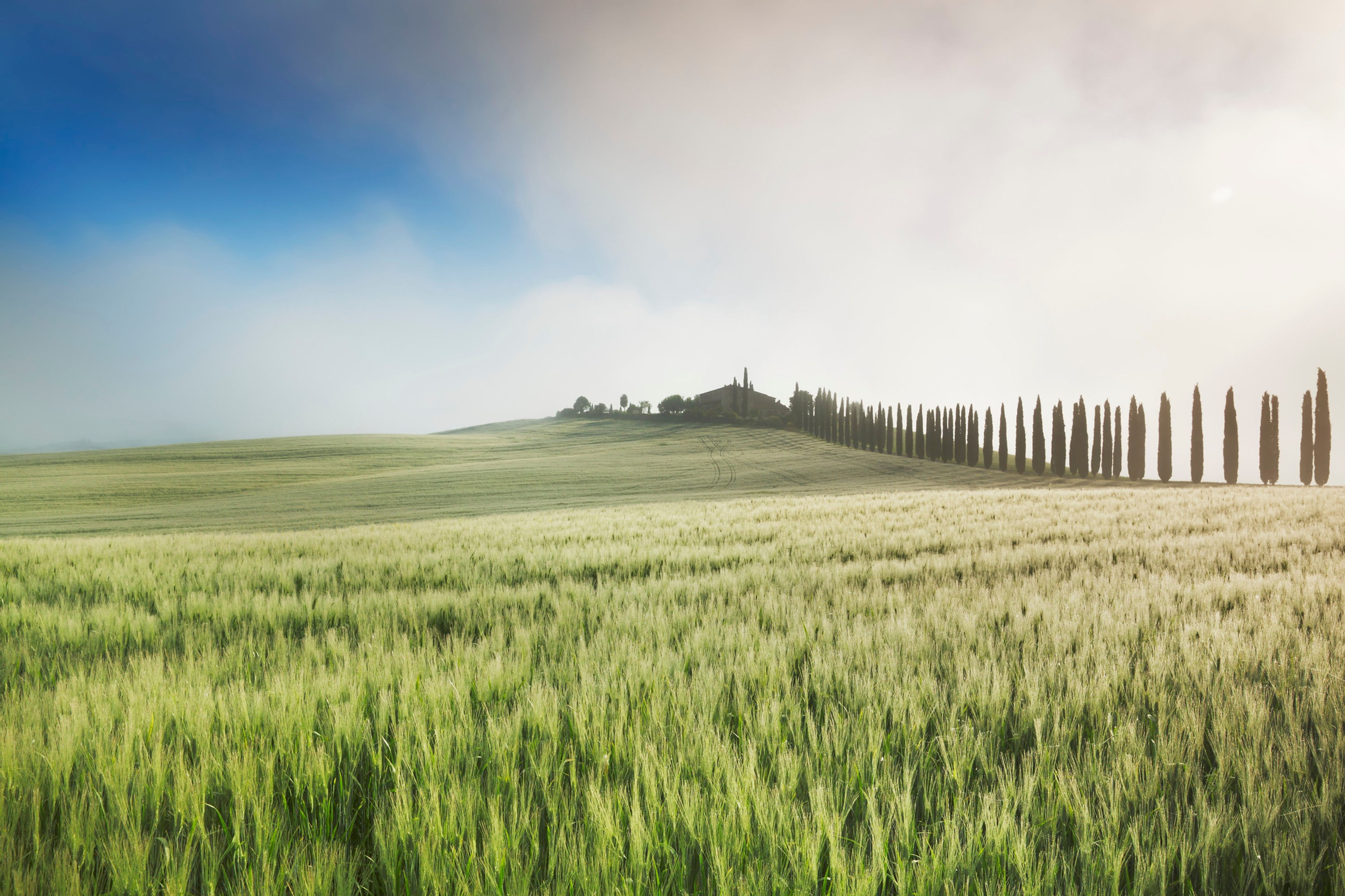 BT_TOSCANA Nr. 42-61316558
