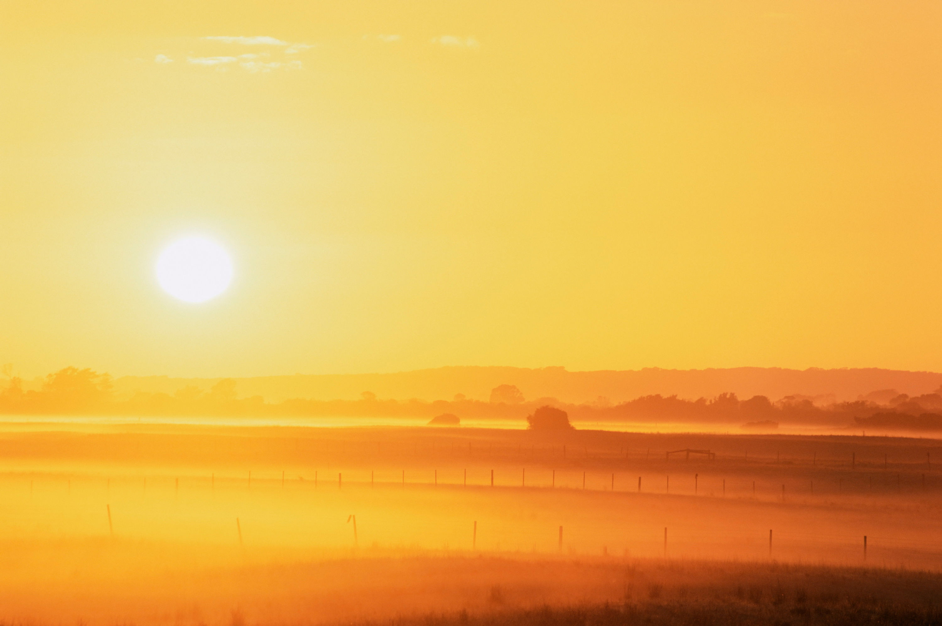 Sonne No. 756-236