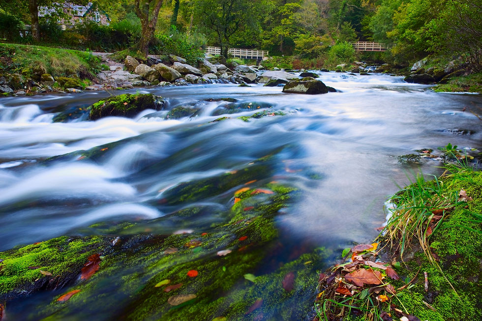 BT Brook 42-25296736