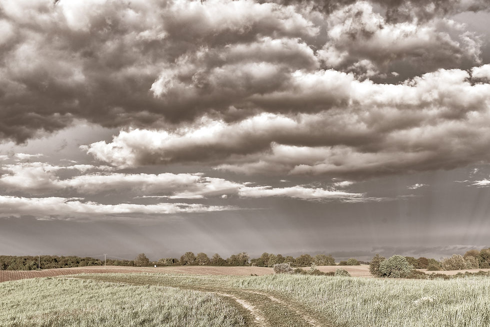 Mecklenburger Land No. 06