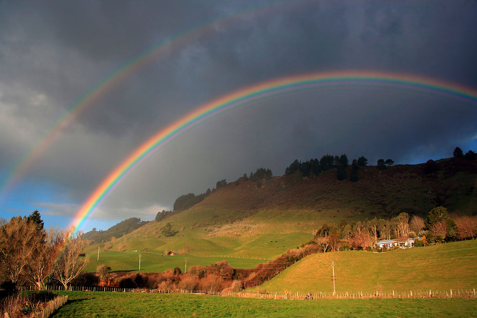 Regenbogen No. 42-19426214