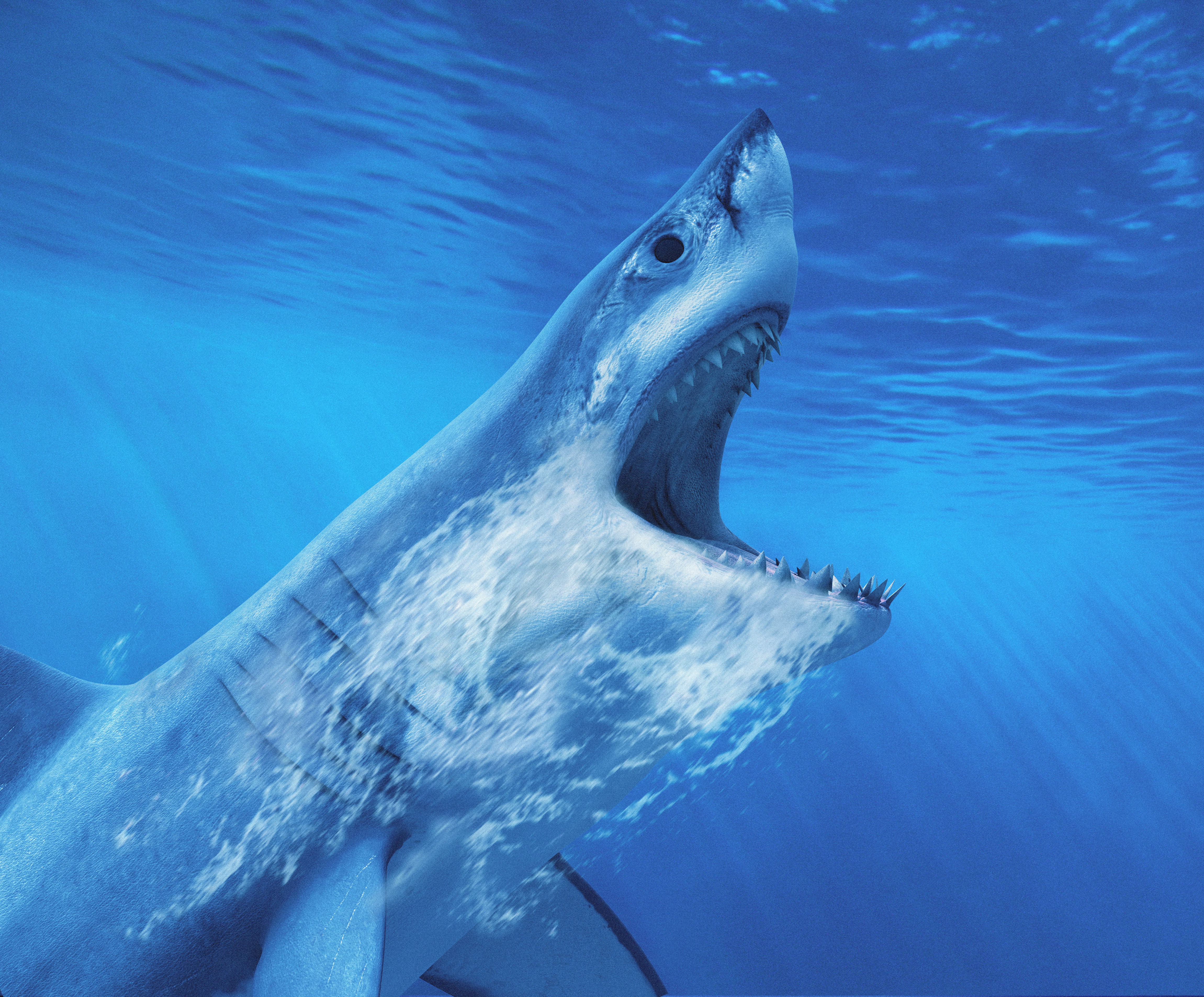 BT Hai Nr. 42-17710510