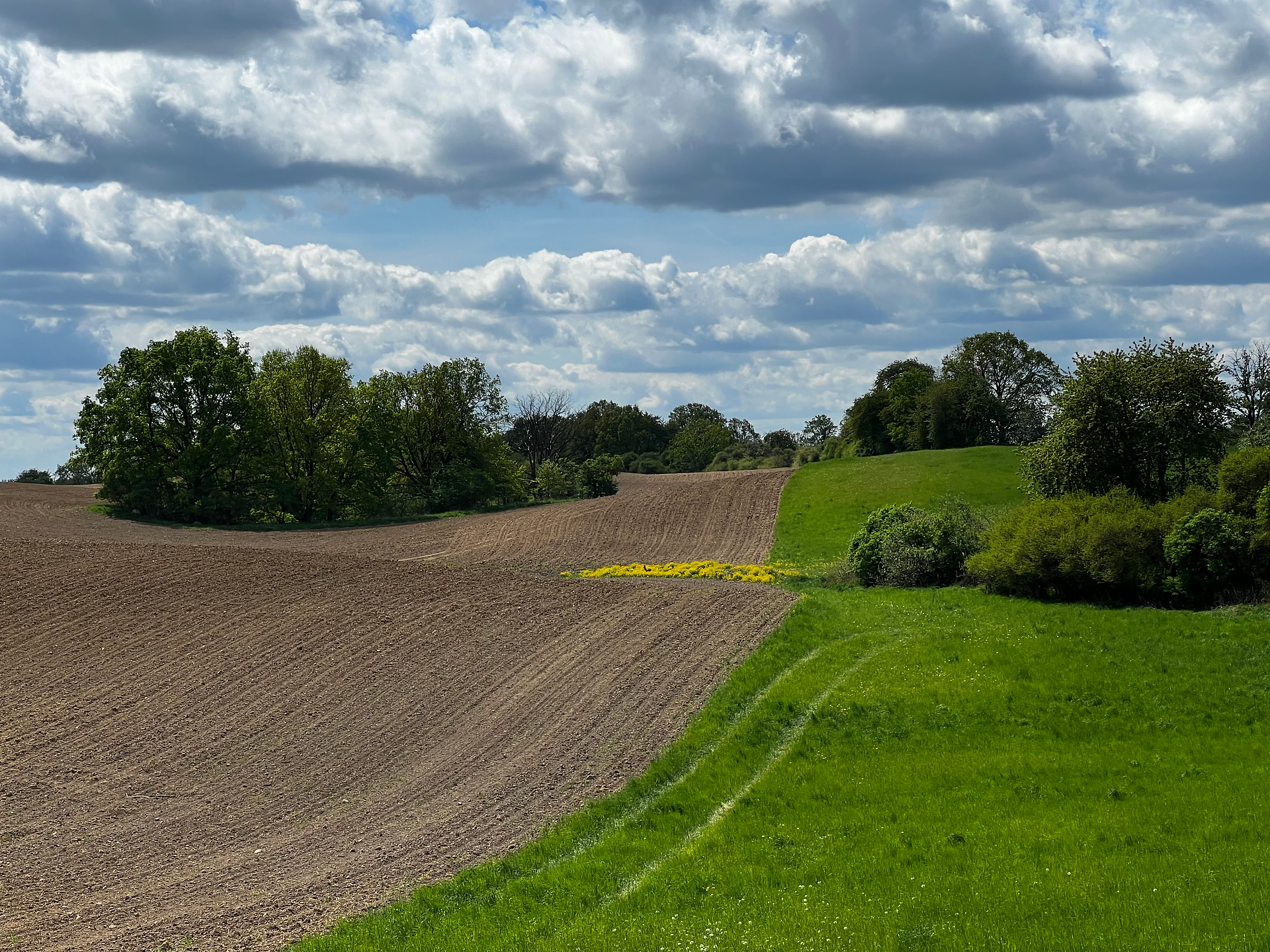 Uckermarkische Landschaft