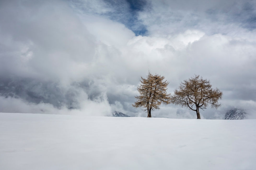 Thumbnail: BT_TIROL Nr.: 42-39898338