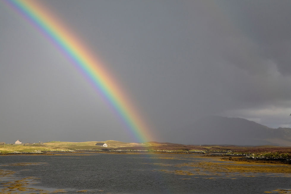 Thumbnail: Regenbogen No.  42-43144868