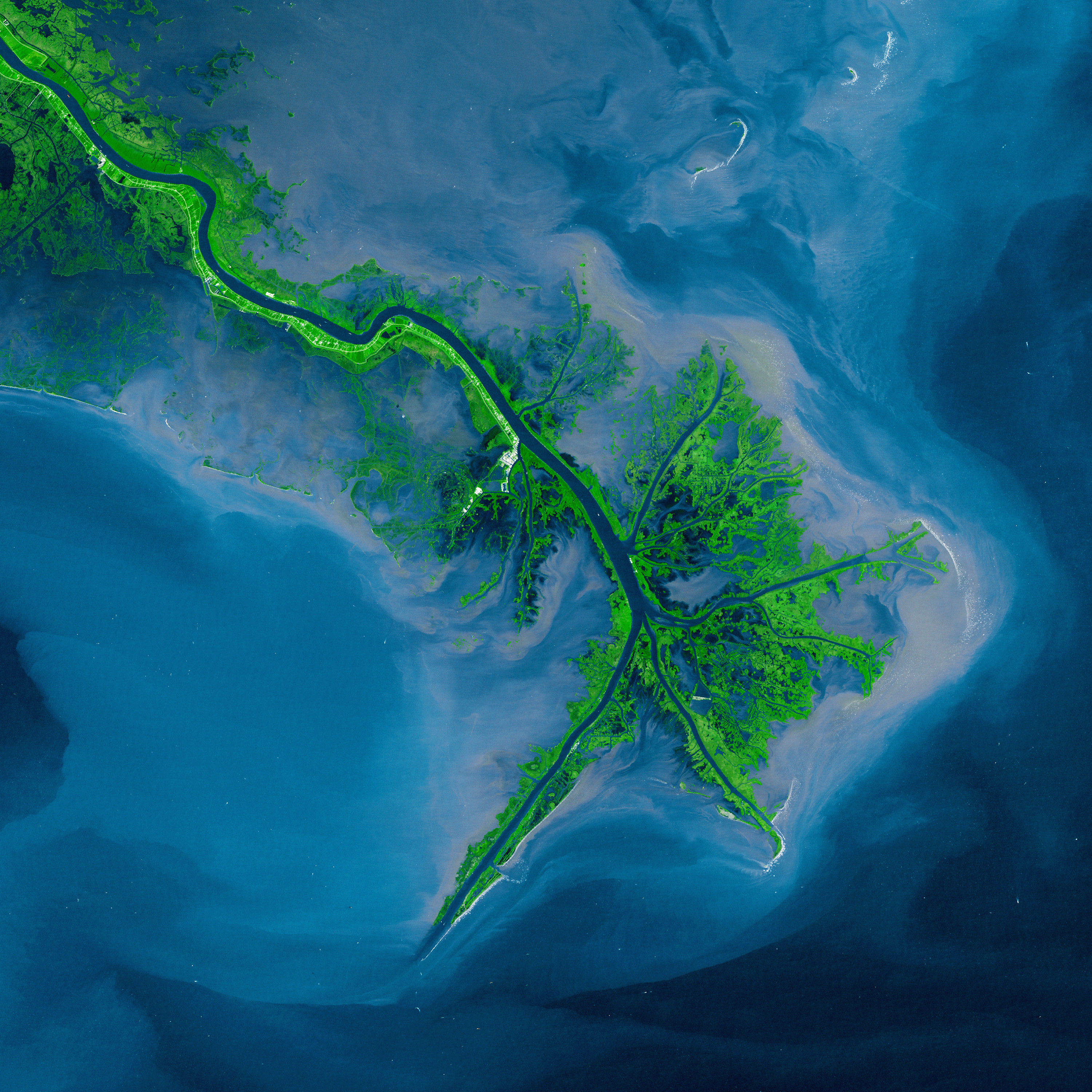 42-19060049