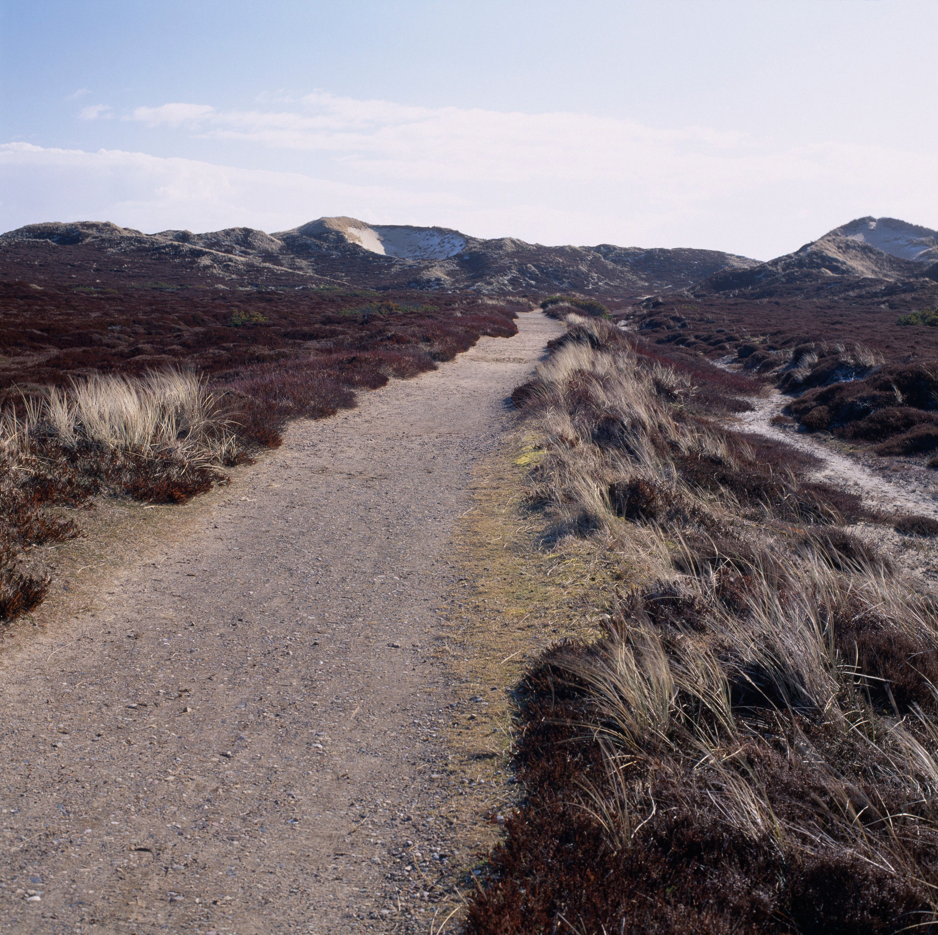 BT_SYLT-2 Nr. 42-15537271