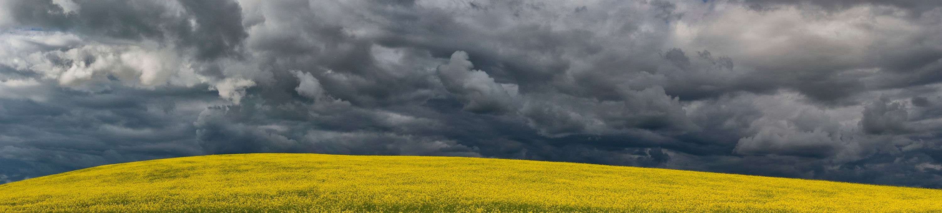 BT_FELDER Nr.: 42-30081953