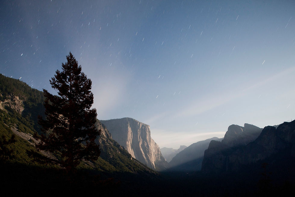 Yosemite National Park No. 25