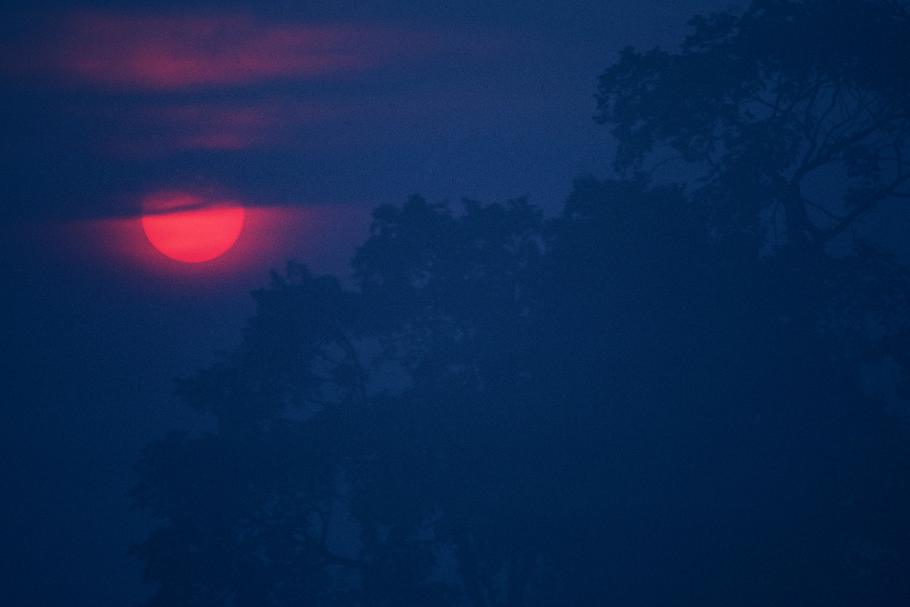 Sonne No. 42-21058977