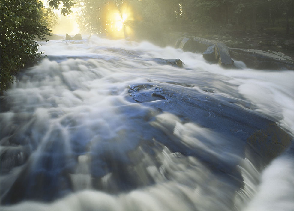 BT Brook 42-24649849