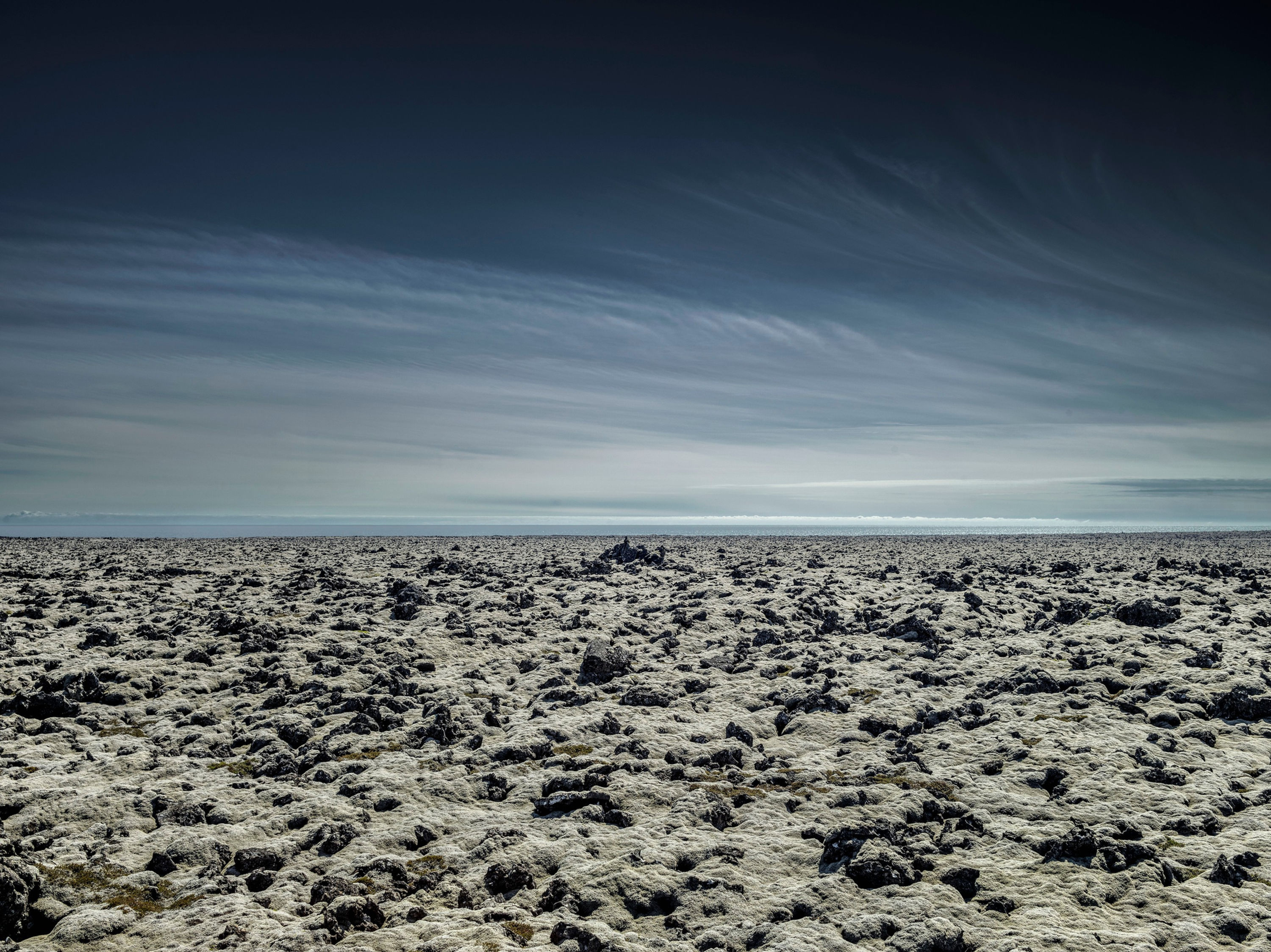 BT- ALPIN # 42-50562237