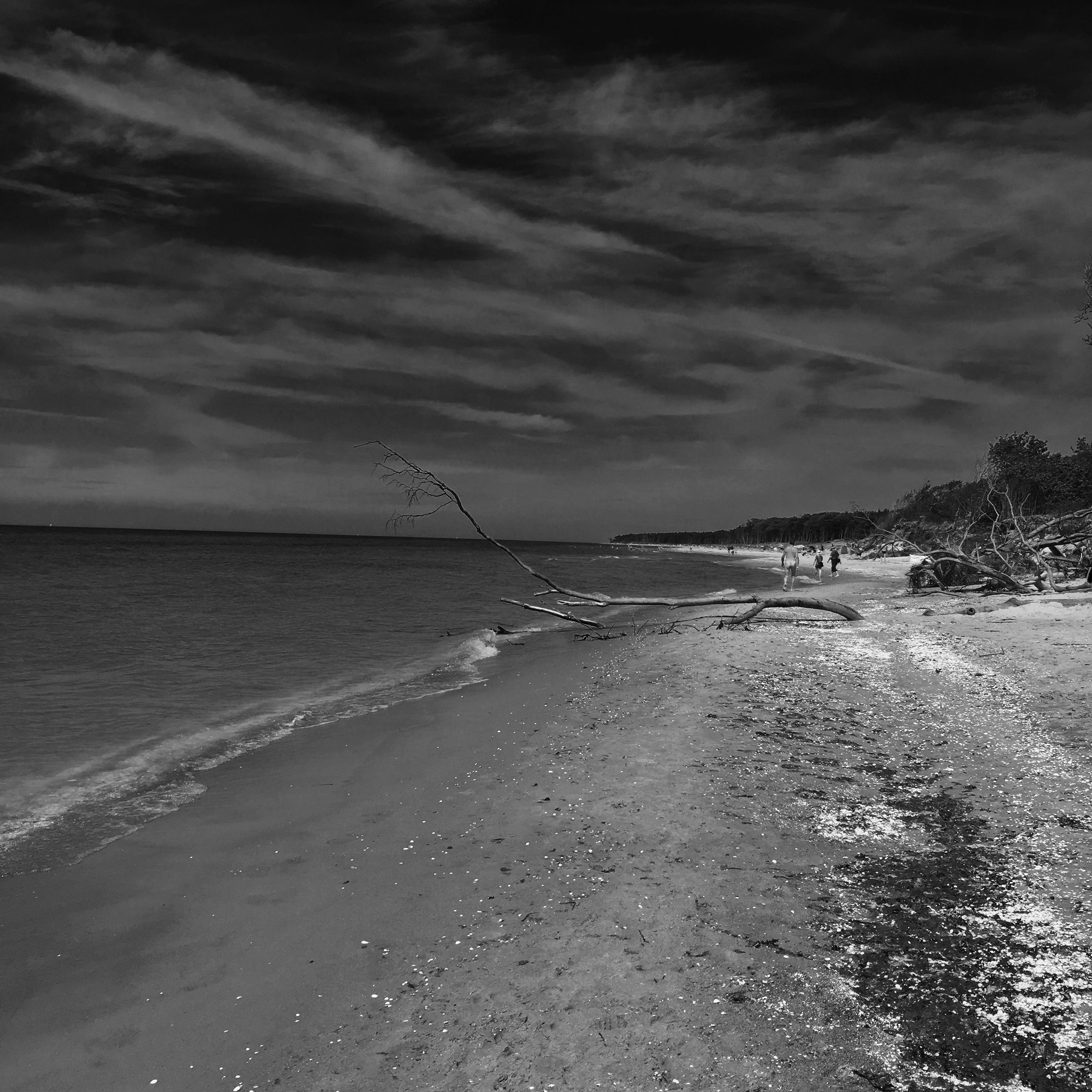 Darß Weststrand Ostsee