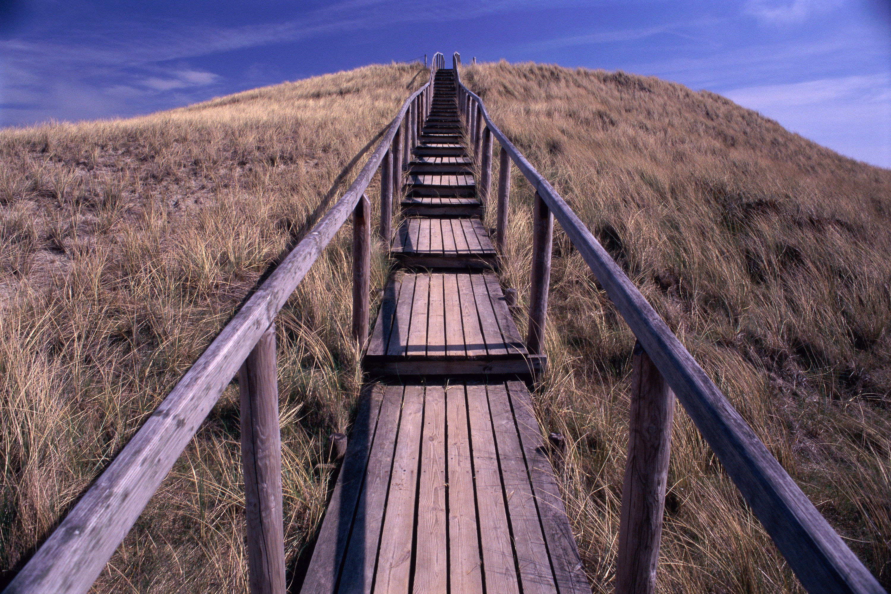 BT_SYLT Nr.: 42-15294969