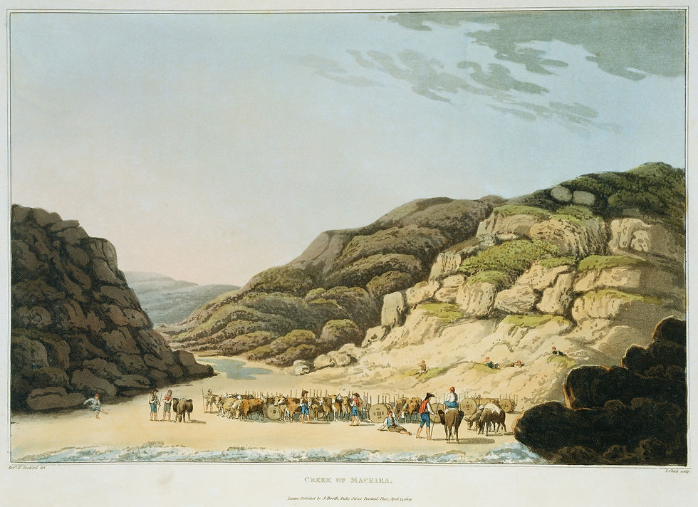 Historische Landschaften No. 12