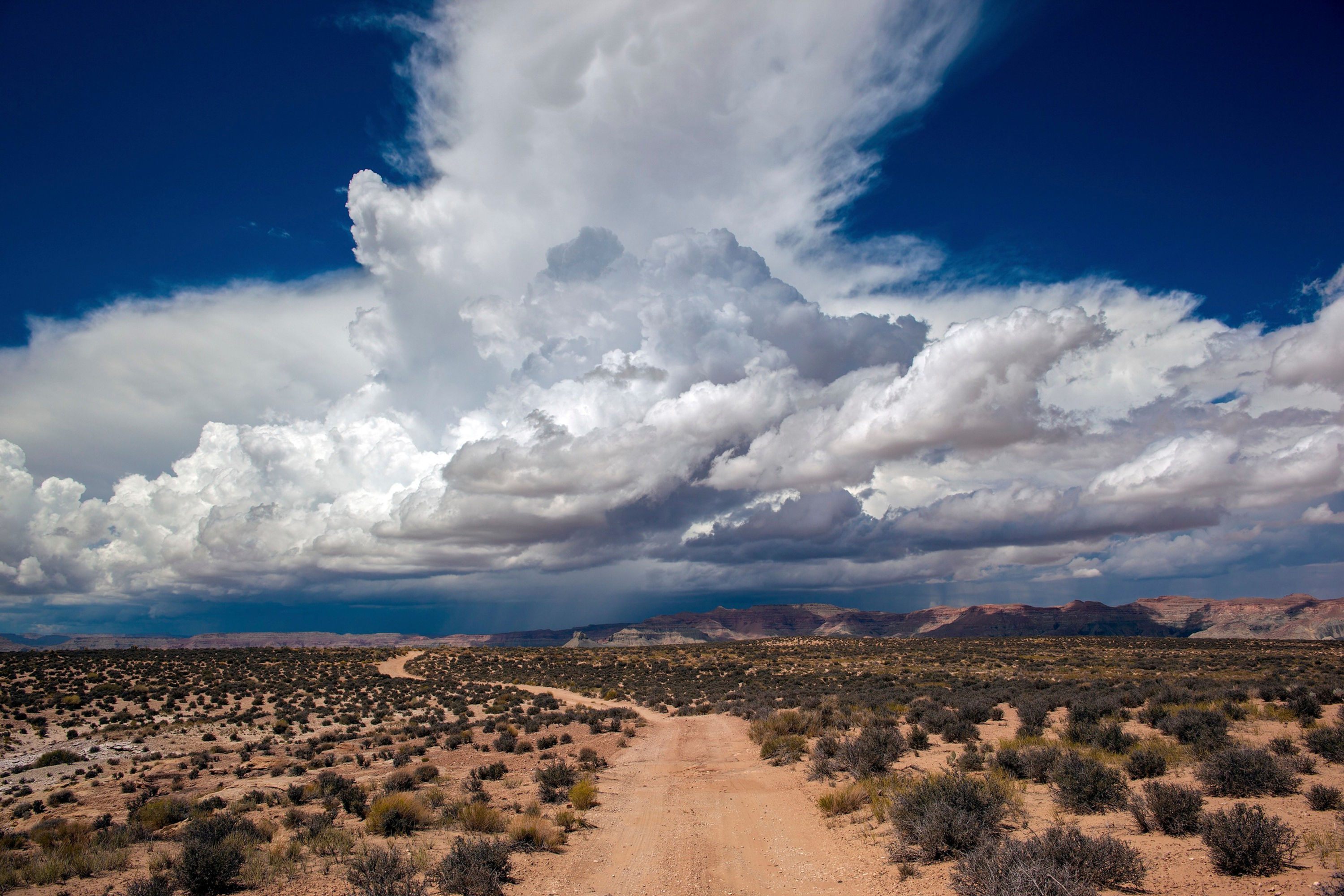 Clouds I No. 42-40375265