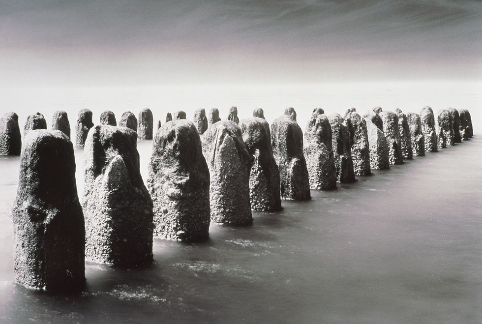 BT_OBJEKTS_Nr.: 42-15401559