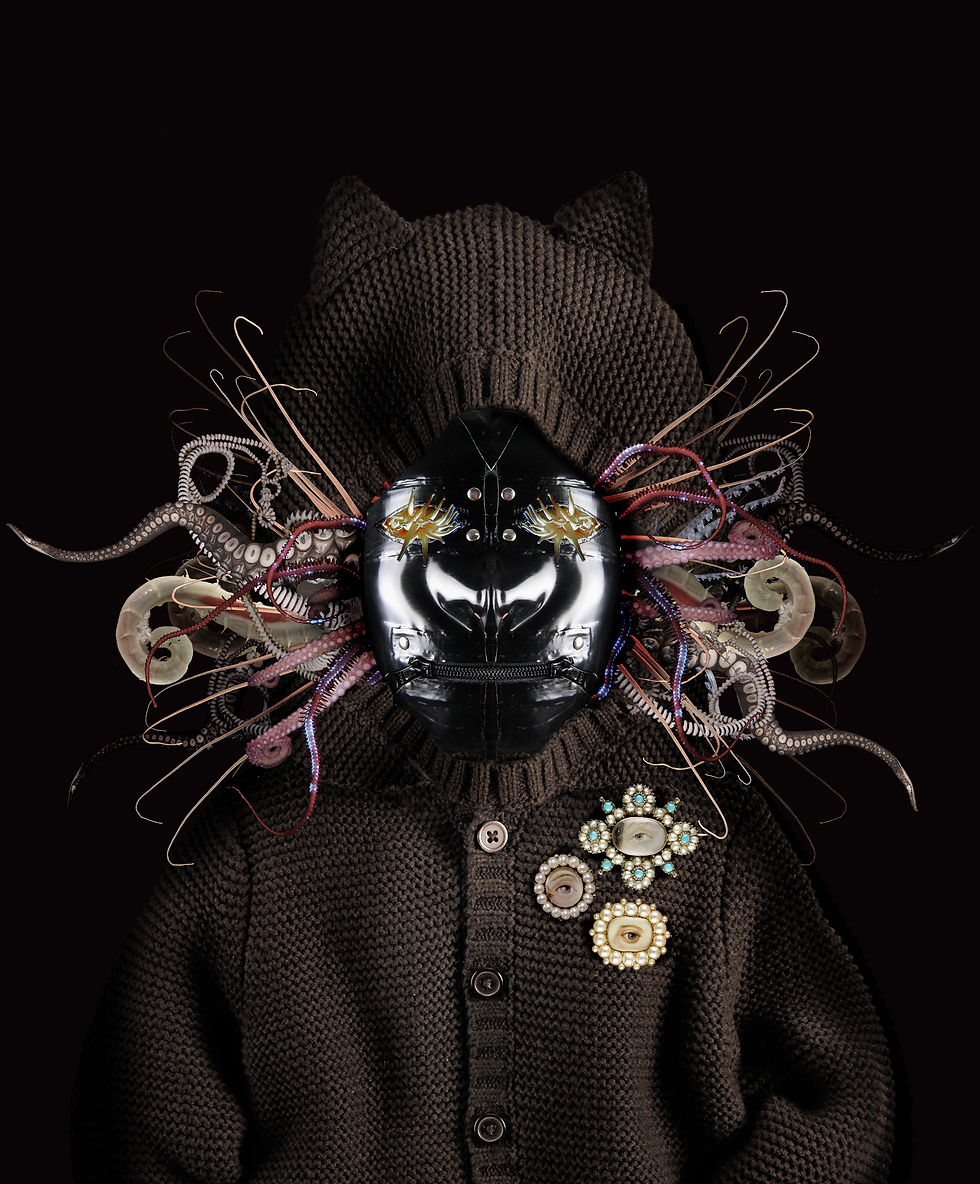 Sebastian Blinde No. 14