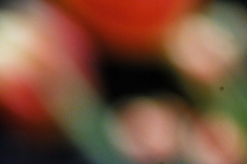 Thumbnail: Out of focus No. 14