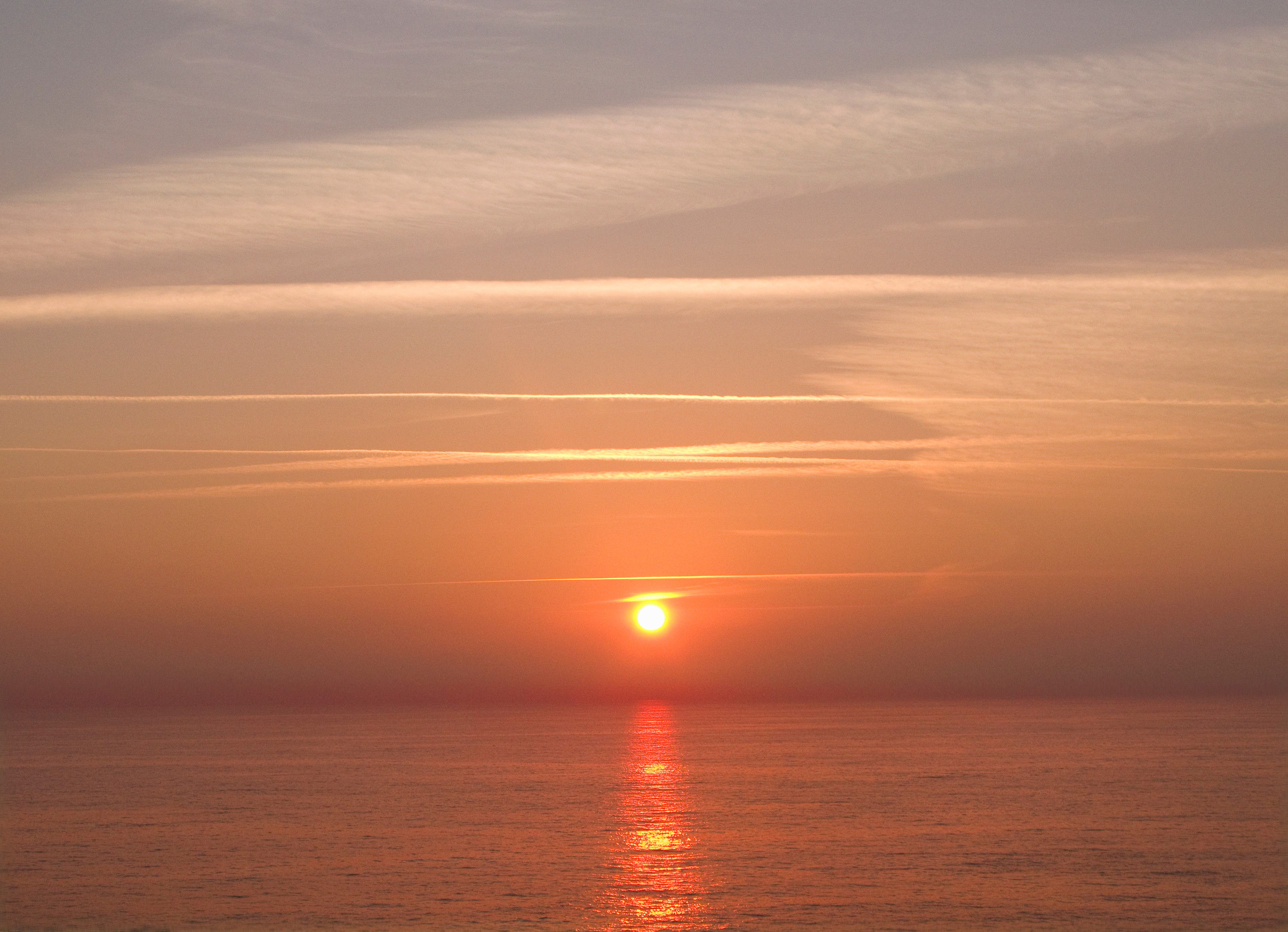 Sonne No. 42-23978226