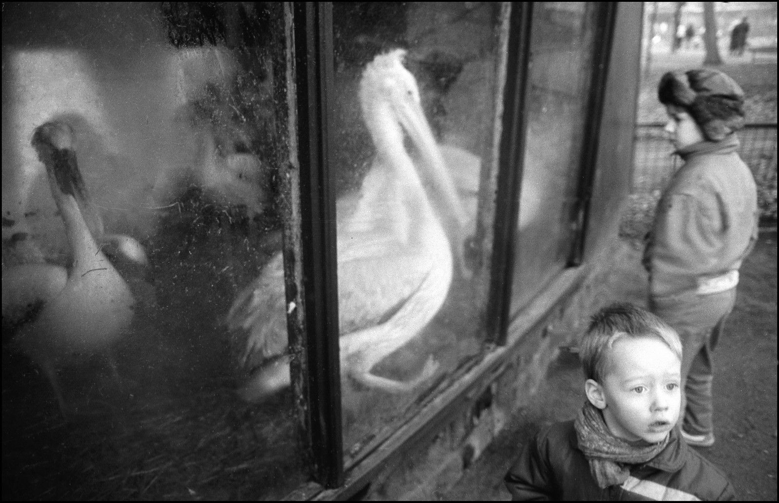 Harald Hauswald No. 4