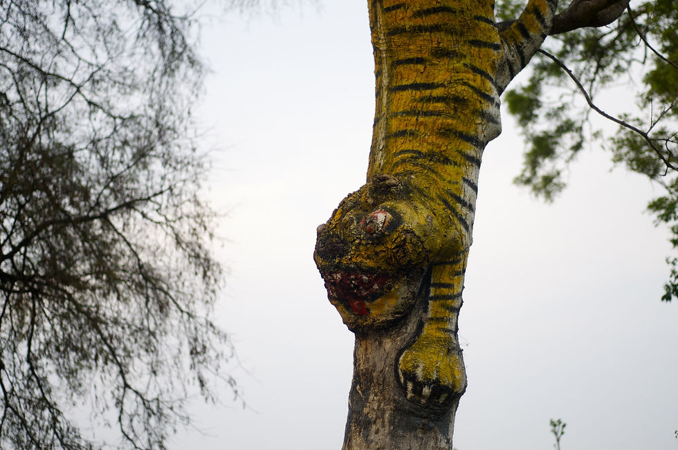 BT Tiger Nr. 42-44556518