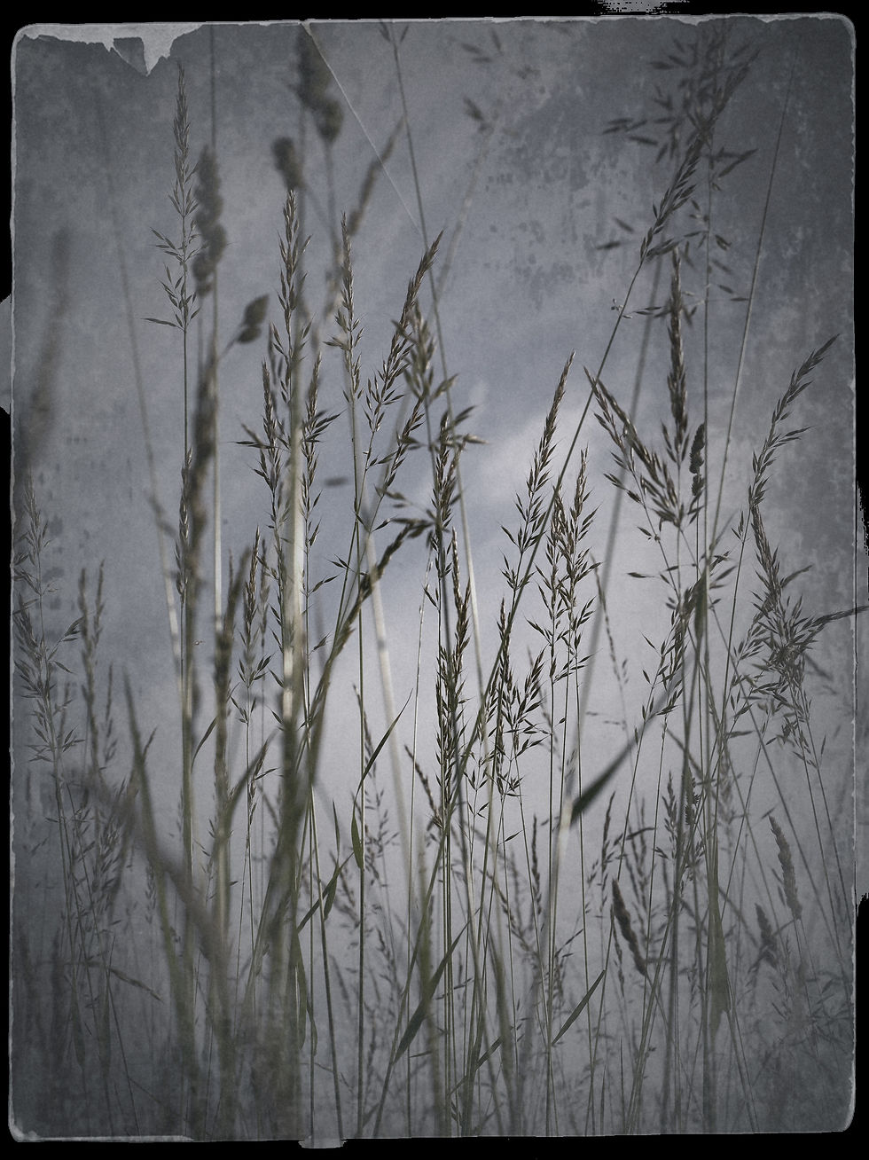 Vintage Art No. 10