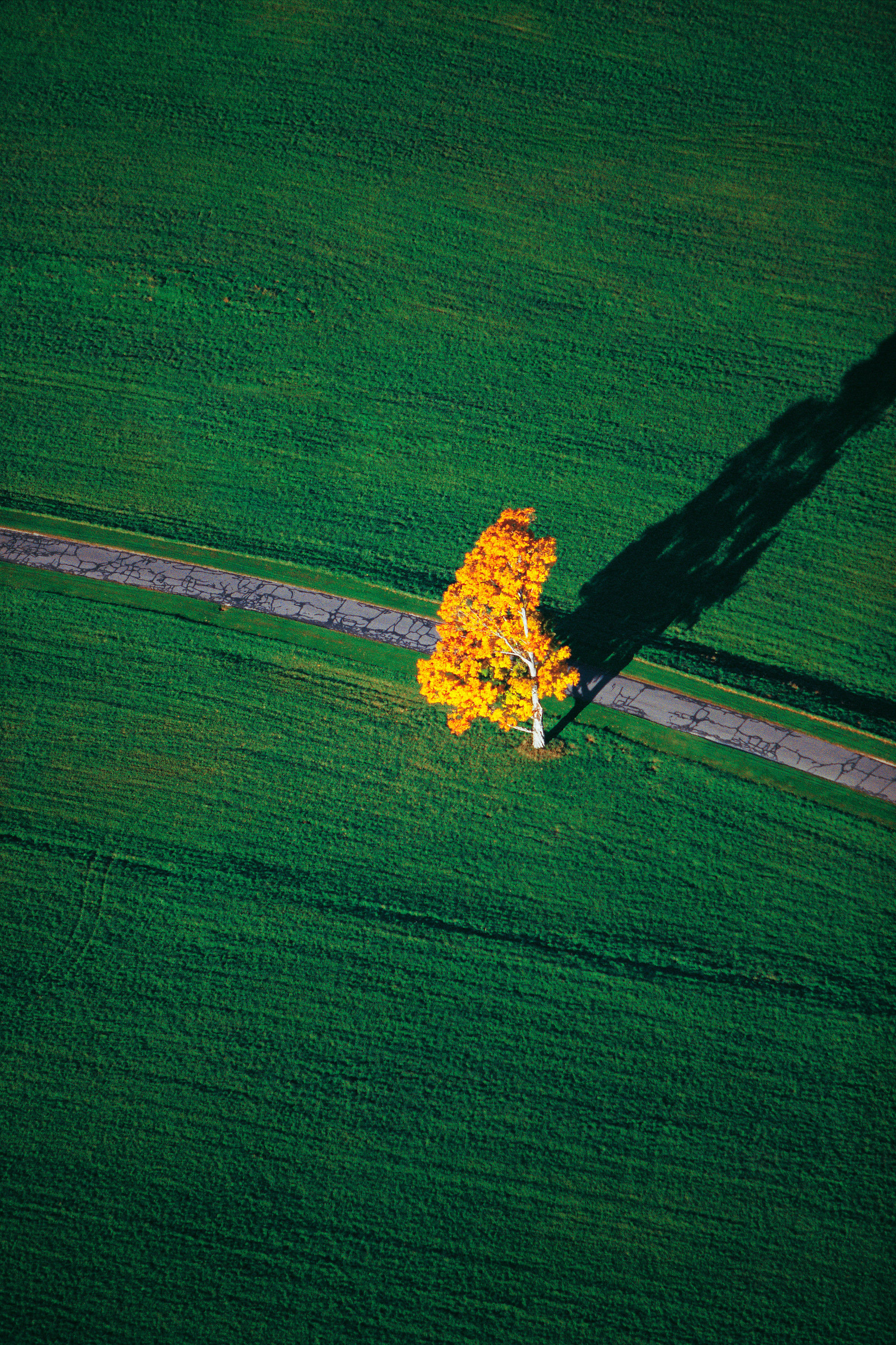 fields from the air No. 29