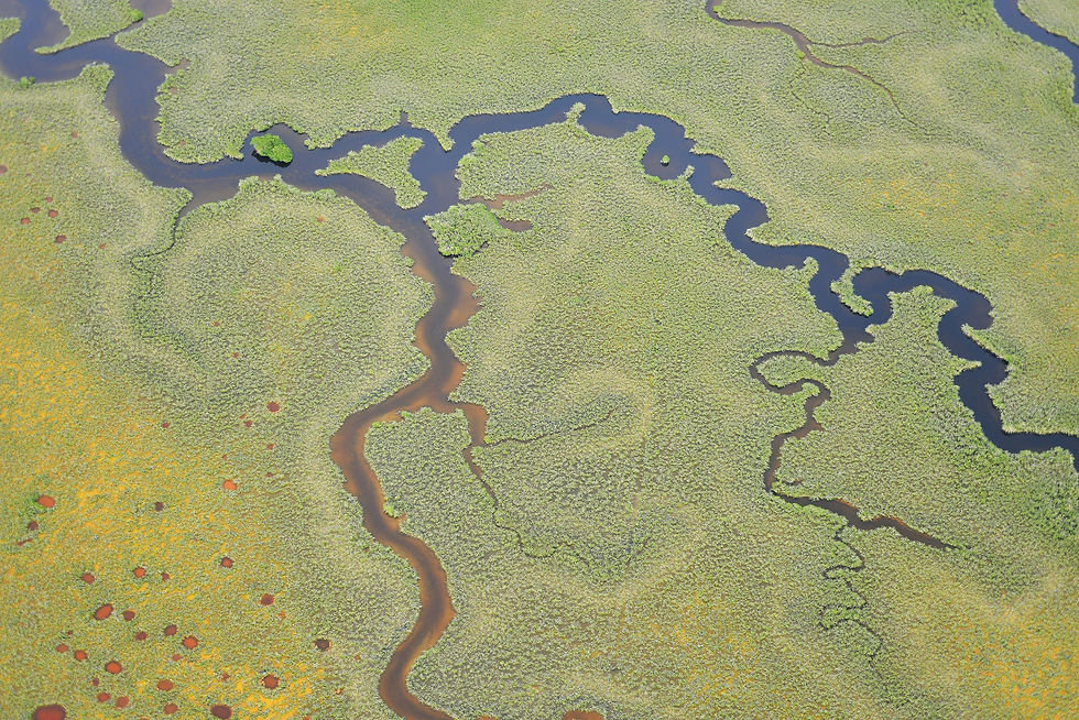 Rivers #39 by © Corbis/Rodrigo Friscione