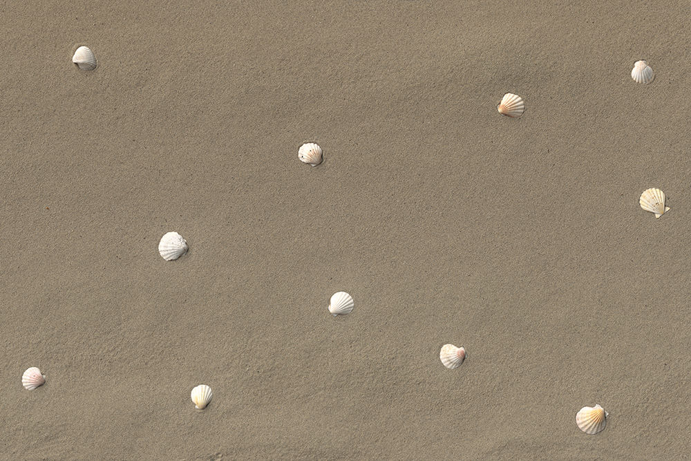 Nature Texture No. 07