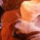 Miniaturbild: Antelope Canyon, Page, Arizona No. 13