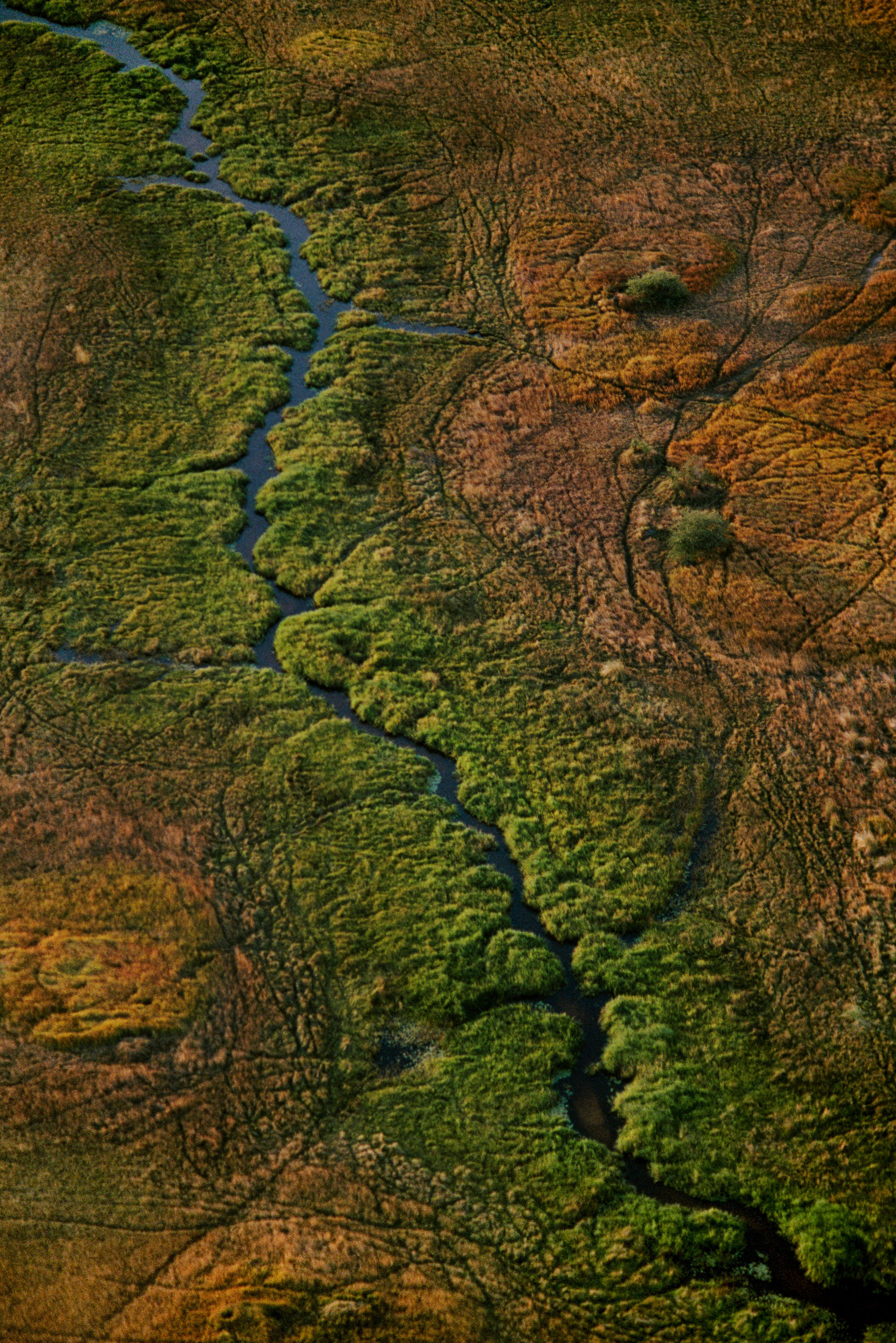 BT_RIVERS 42-19125774