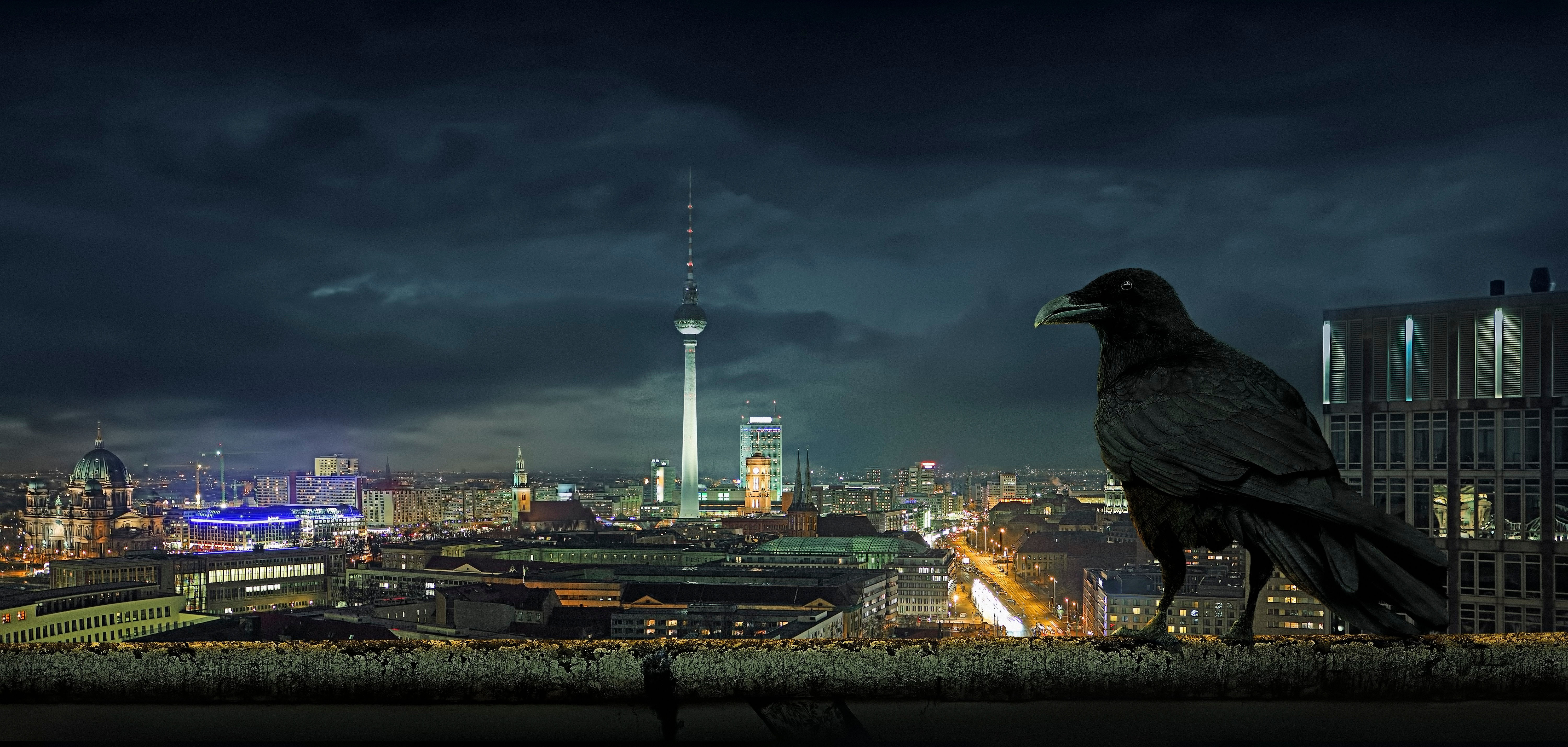 Berlin Icon No. 74