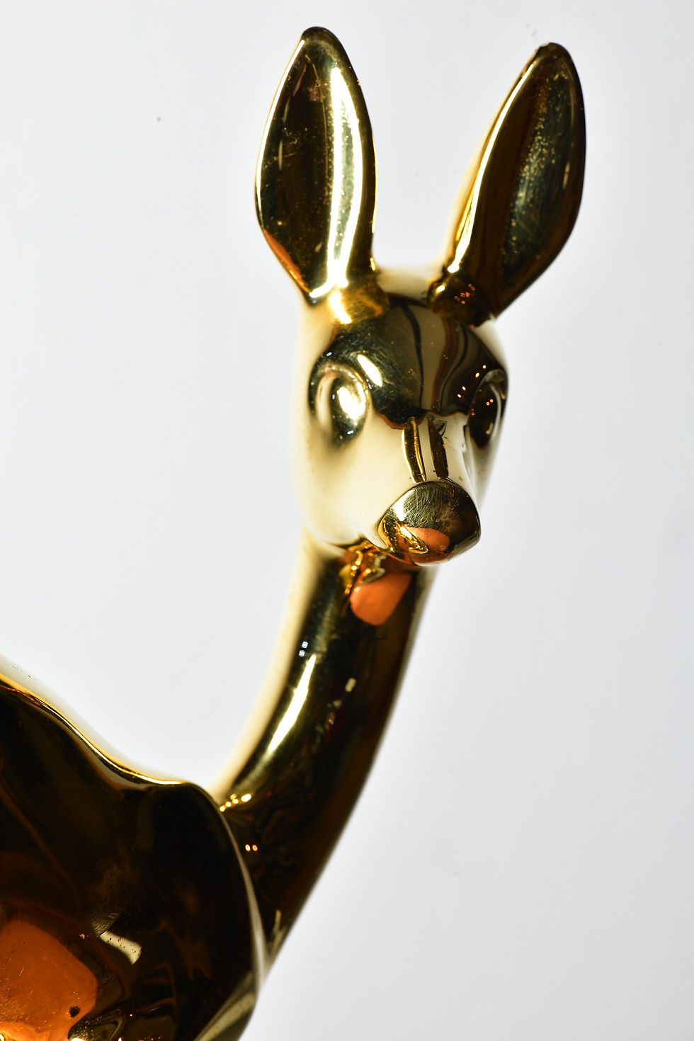 BAMBI