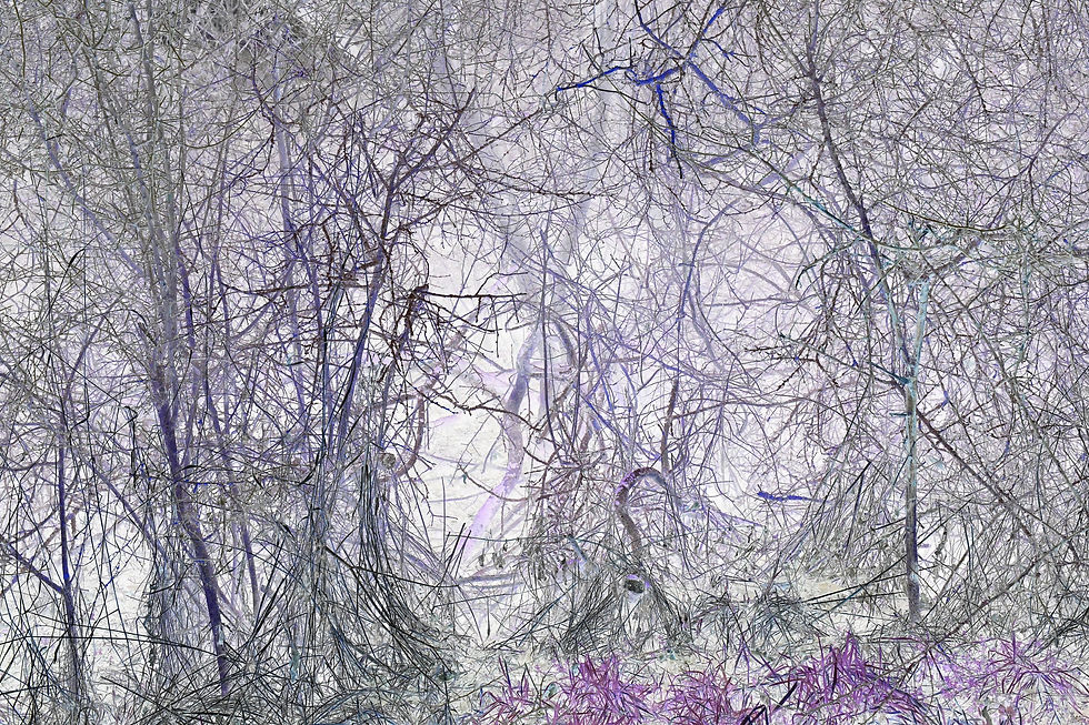 Bizarr 2 No. 8