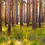 Thumbnail: Wald Panorama No. 66