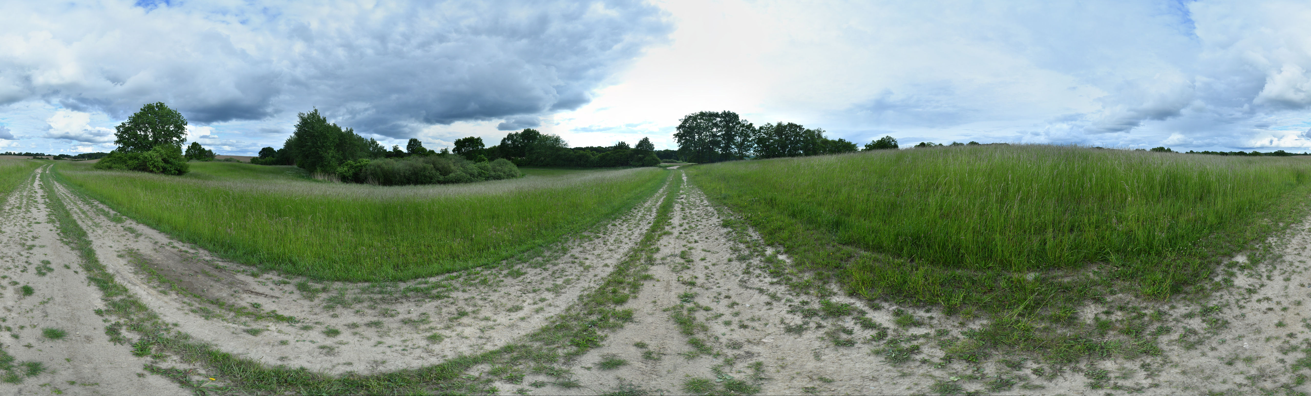 Wald Giga Panorama UHD No. 14