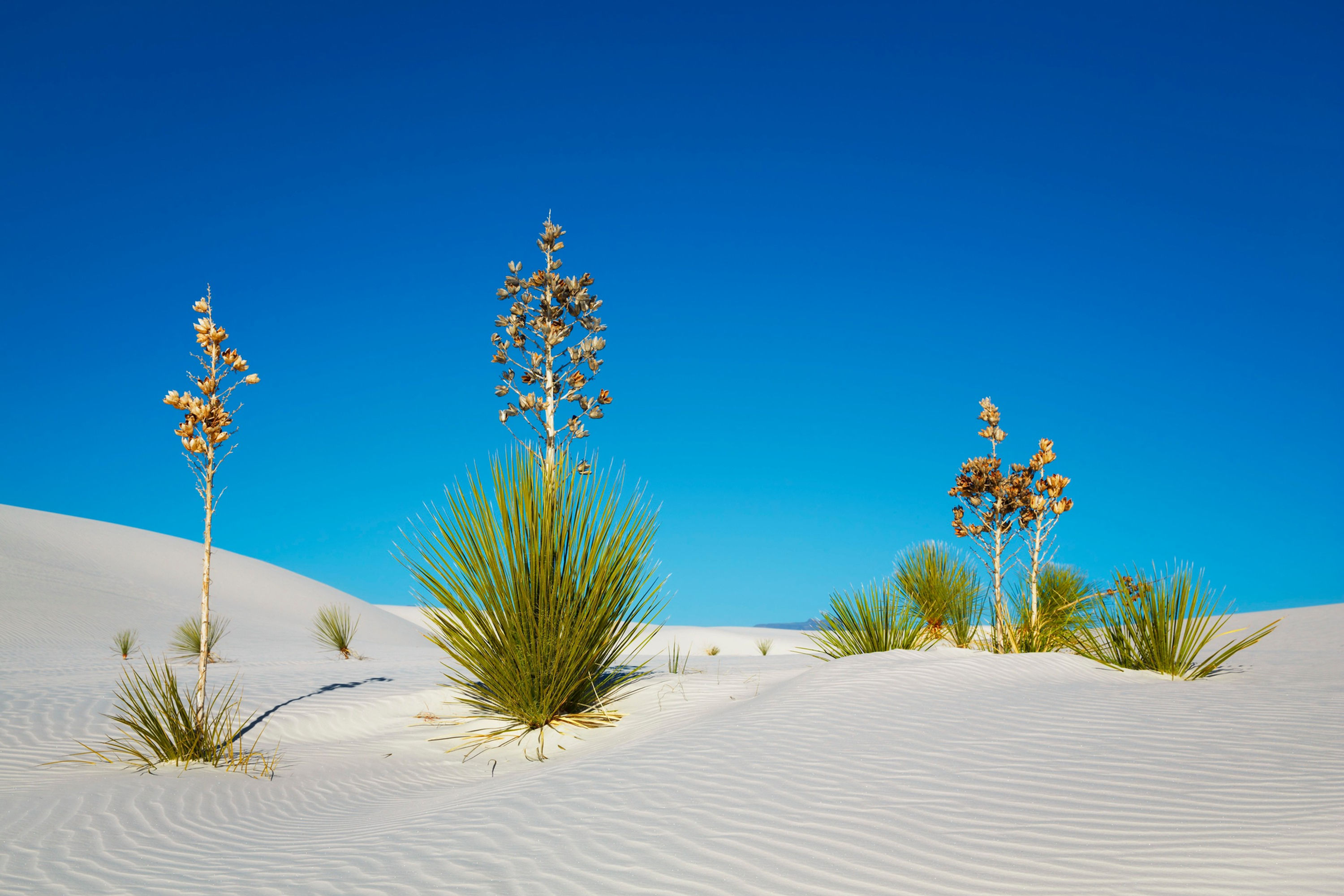 42-59933600 BT_DÜHNEN Nr.