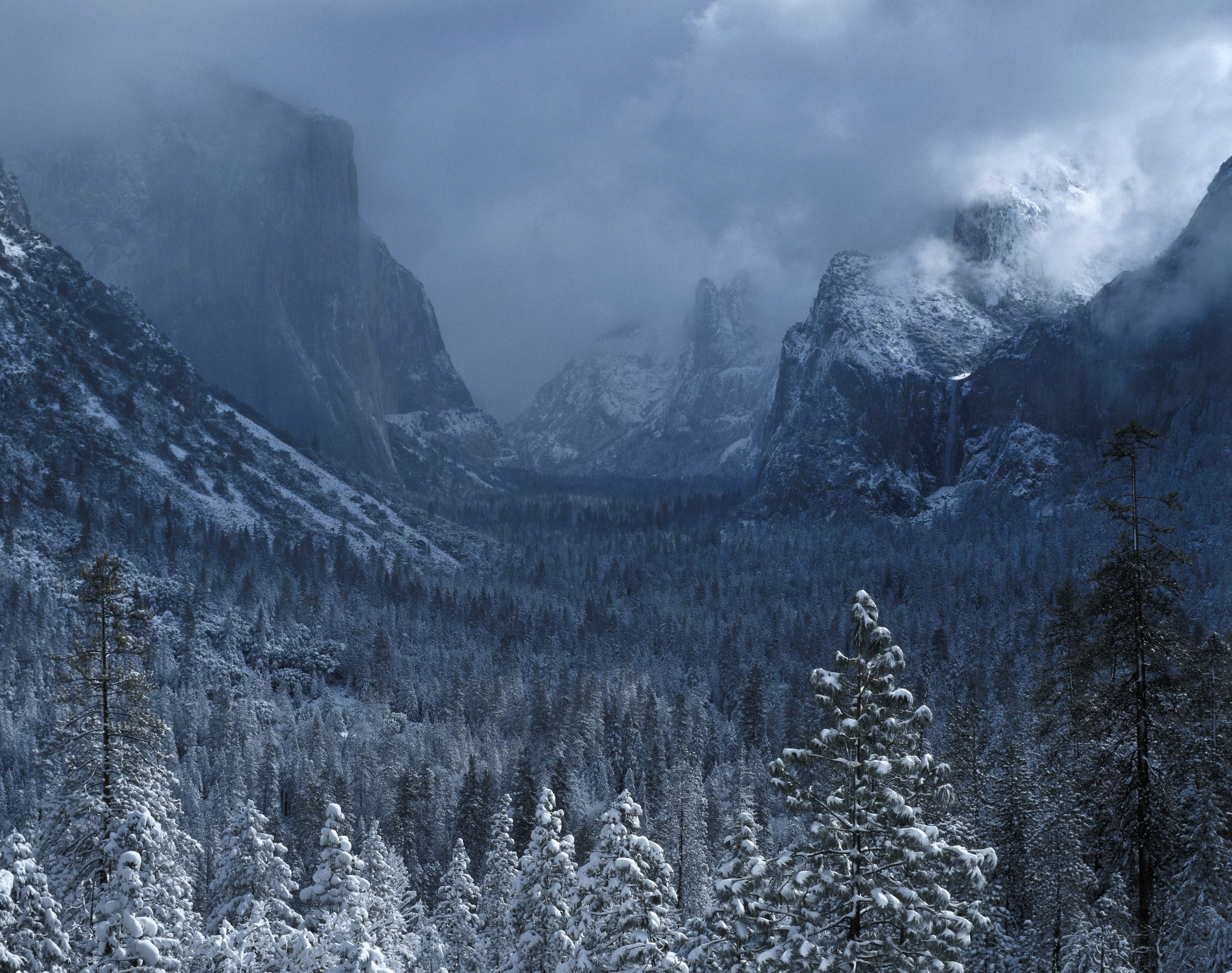 Yosemite National Park No. 26