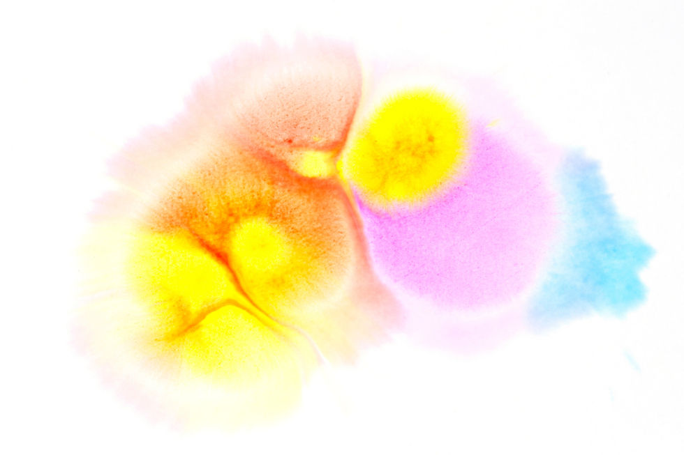 Color Bird No. 31