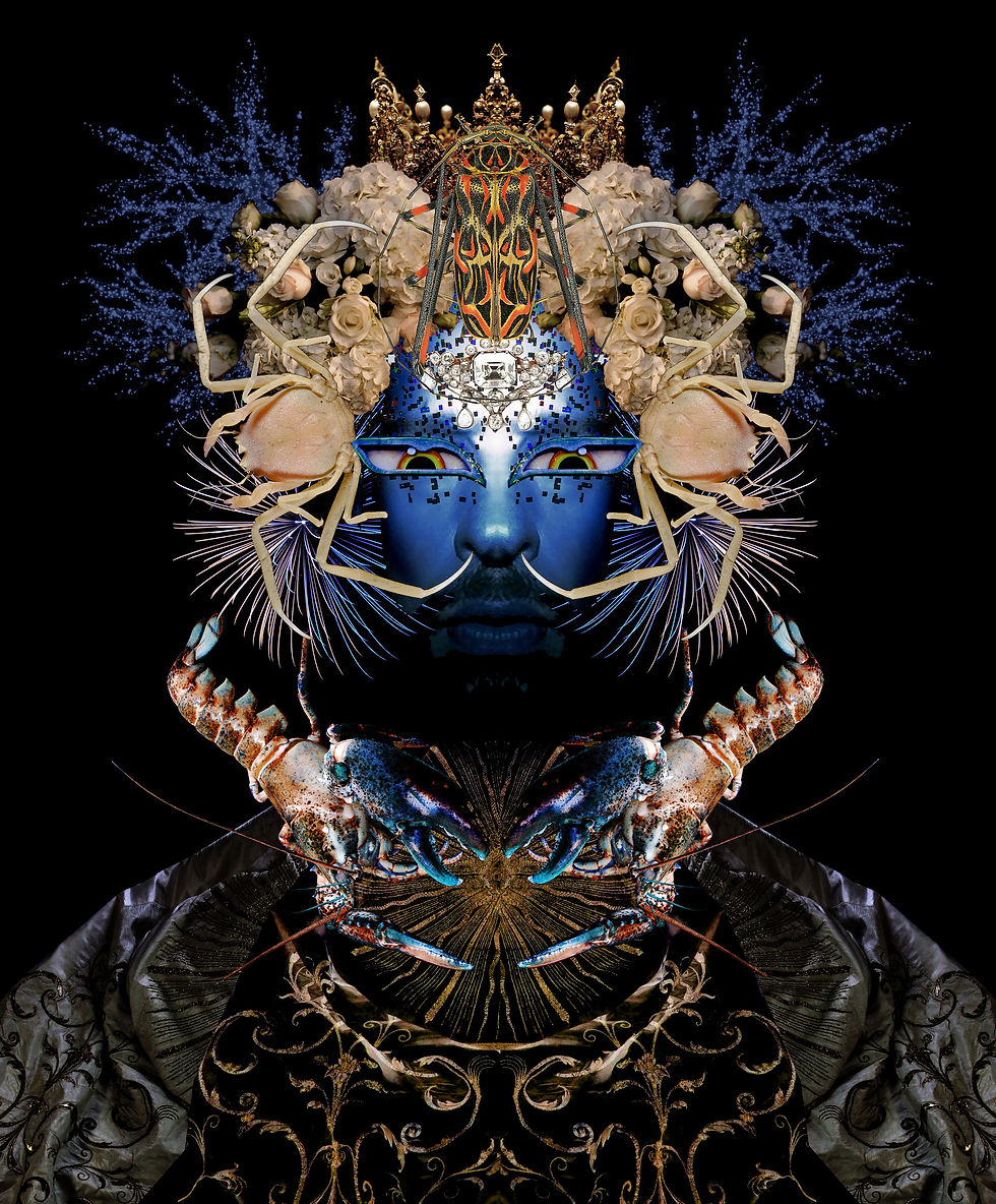 Sebastian Blinde No. 13