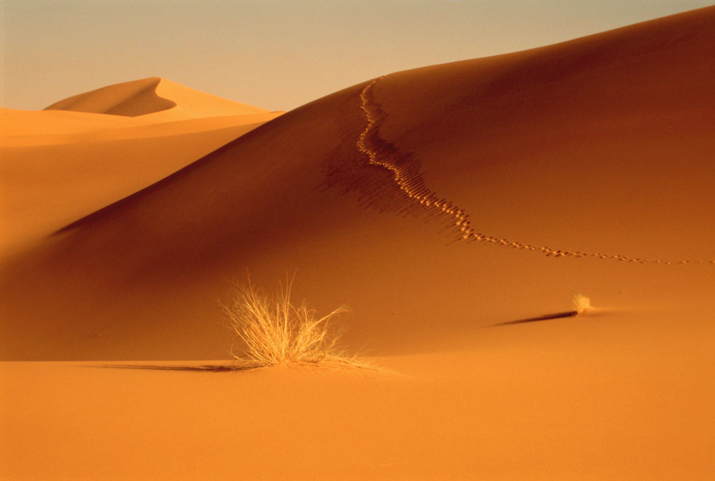 42-15314292 BT_DÜHNEN Nr.