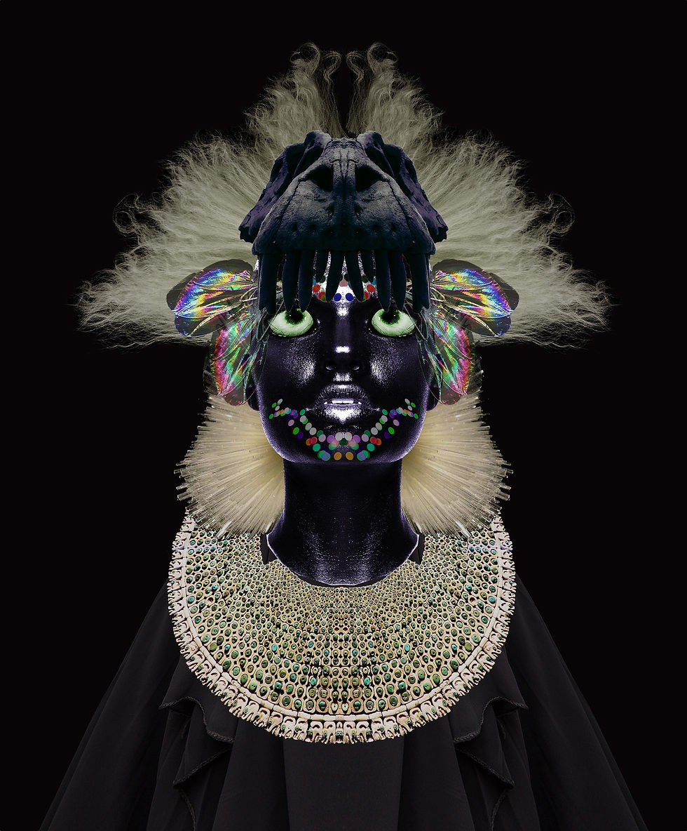 Sebastian Blinde No. 11