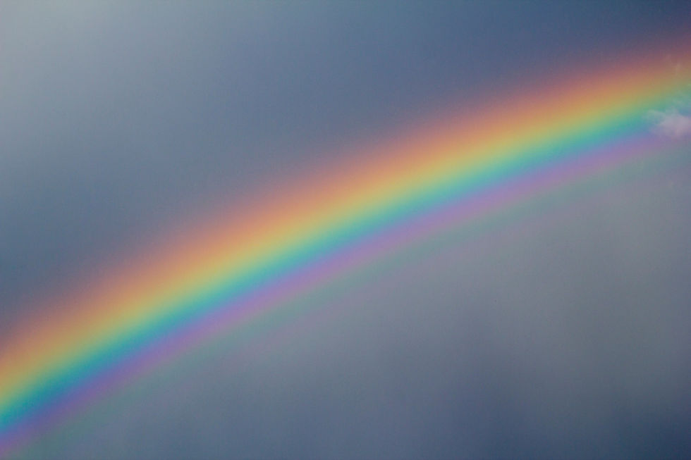 Regenbogen No. 42-50736929