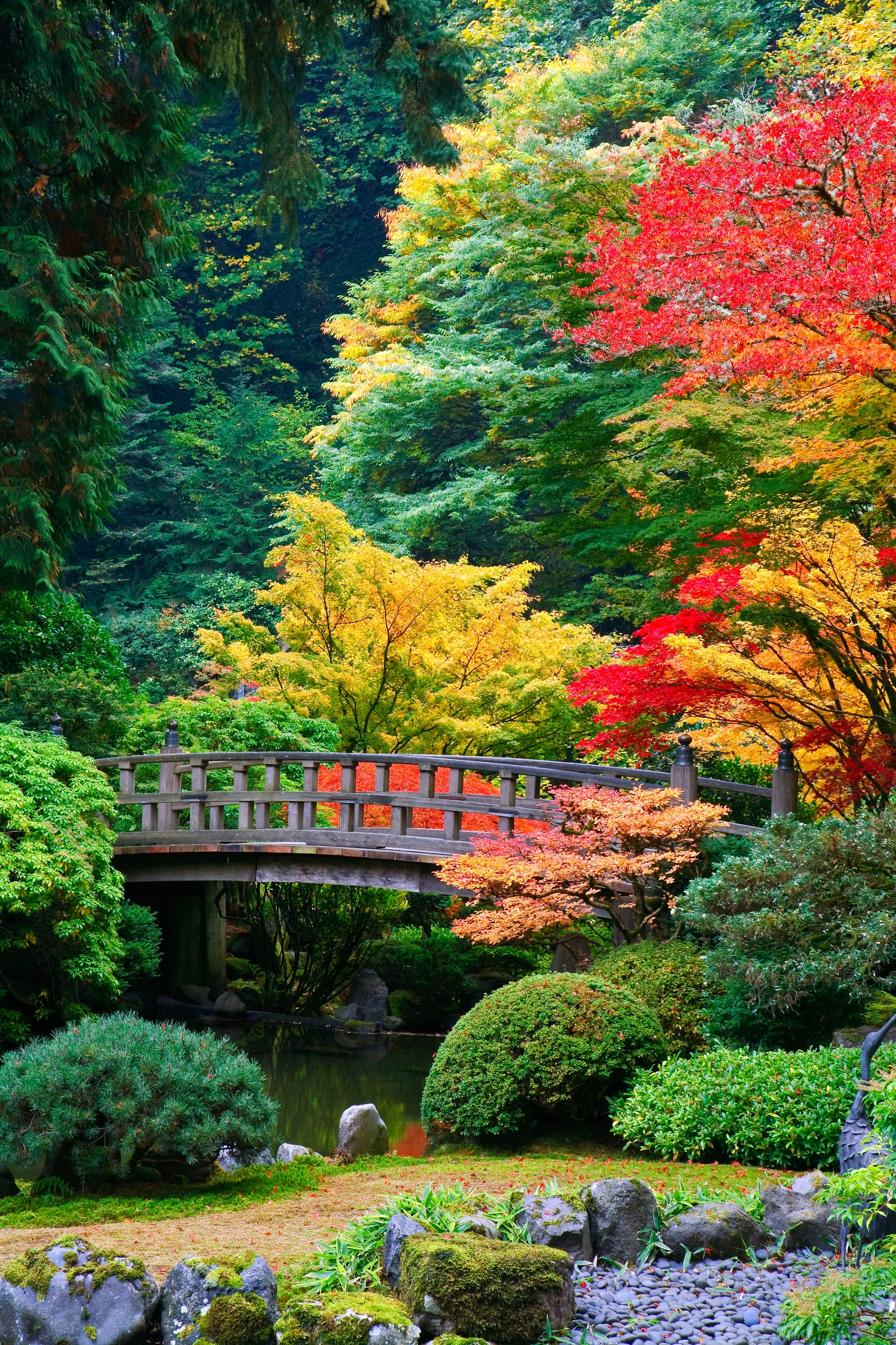 BT-ZENGARDEN Nr. 42-24153104