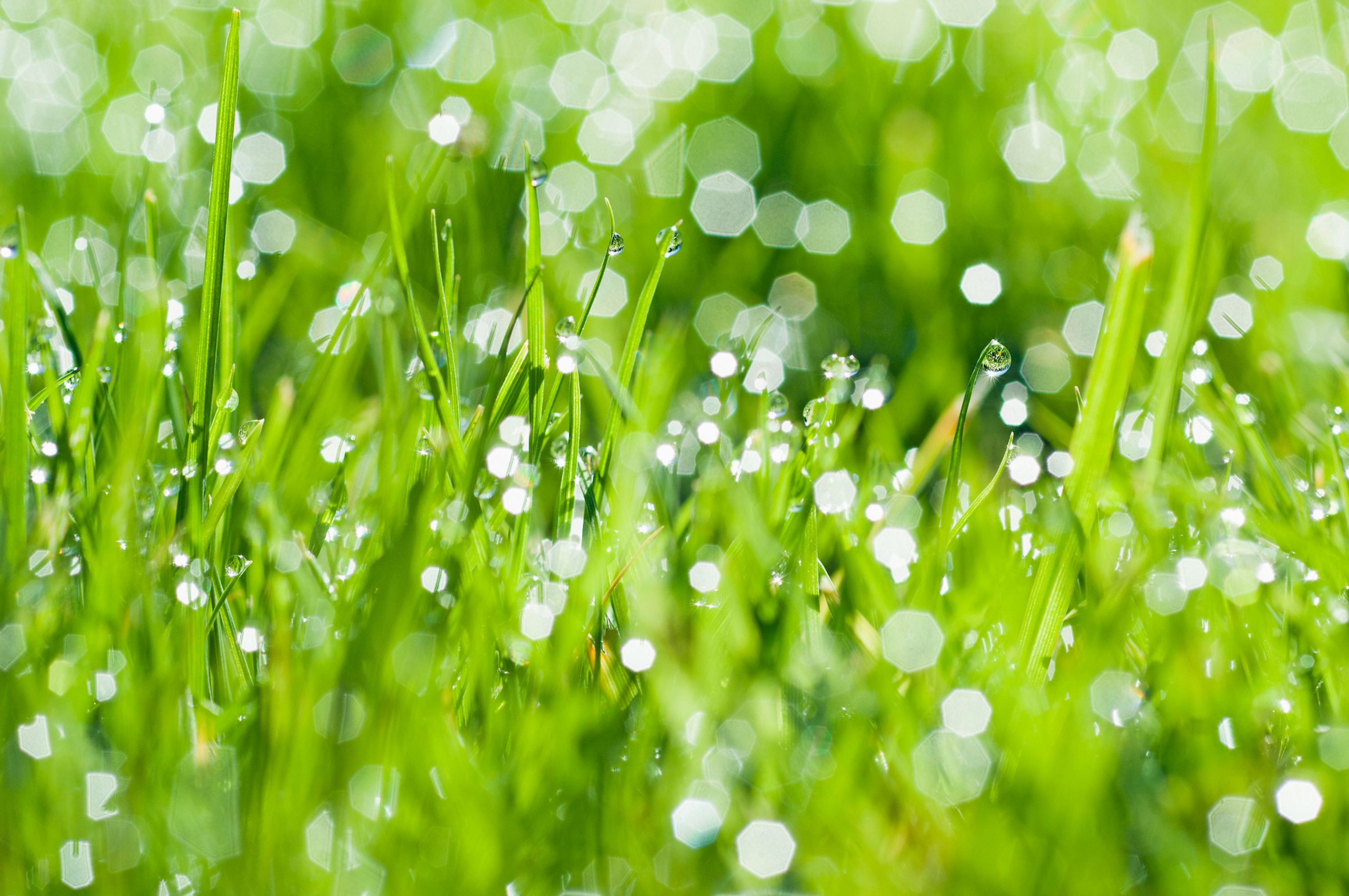 Wassertropfen No. 10