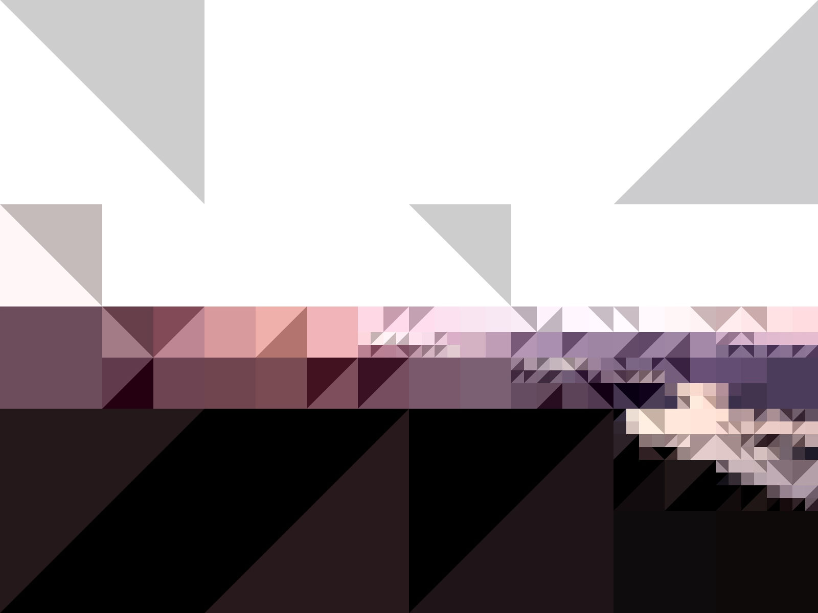 Pixel No. 2